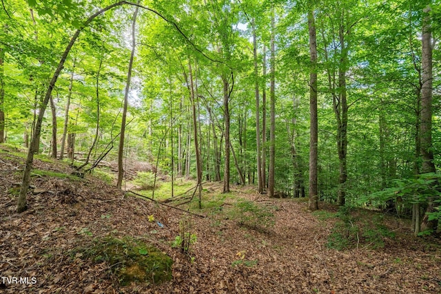 Tbd Fairway Point, Unicoi, TN 37692 - photo 18