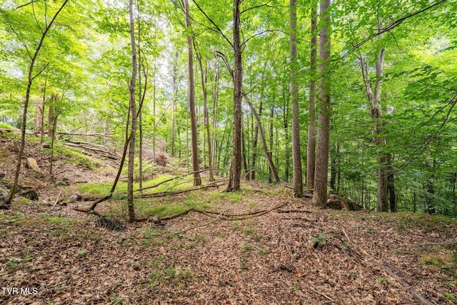 Tbd Fairway Point, Unicoi, TN 37692 - photo 19