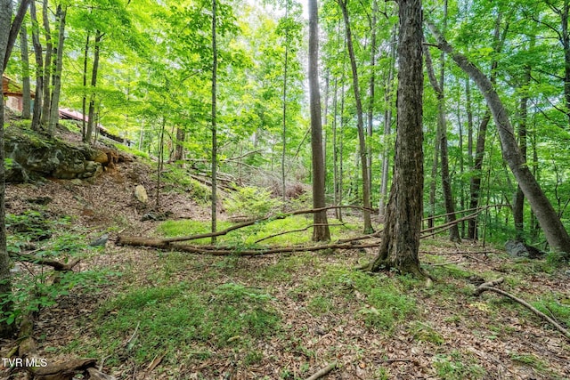 Tbd Fairway Point, Unicoi, TN 37692 - photo 20