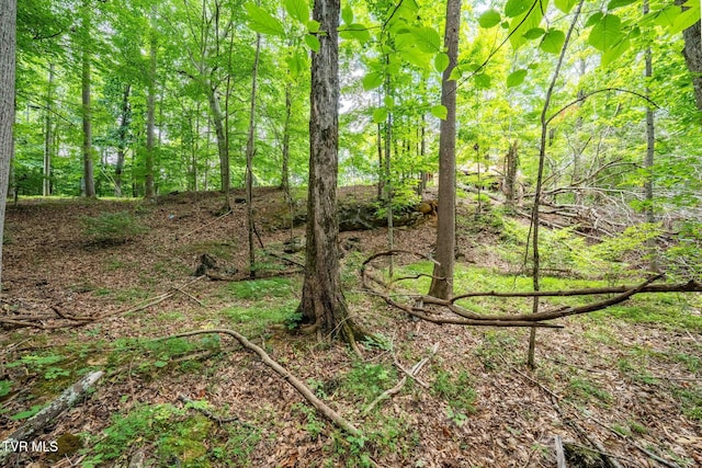 Tbd Fairway Point, Unicoi, TN 37692 - photo 21