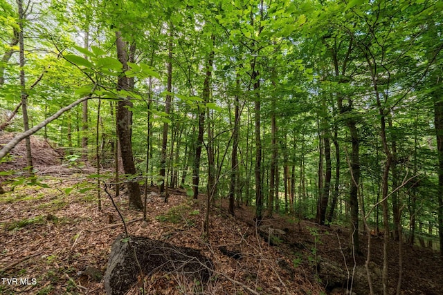 Tbd Fairway Point, Unicoi, TN 37692 - photo 22