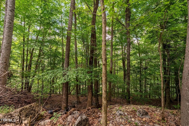 Tbd Fairway Point, Unicoi, TN 37692 - photo 23