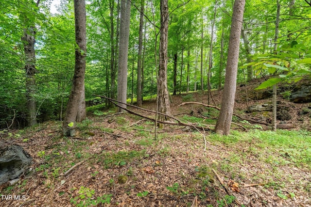 Tbd Fairway Point, Unicoi, TN 37692 - photo 24