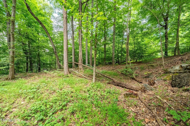 Tbd Fairway Point, Unicoi, TN 37692 - photo 25