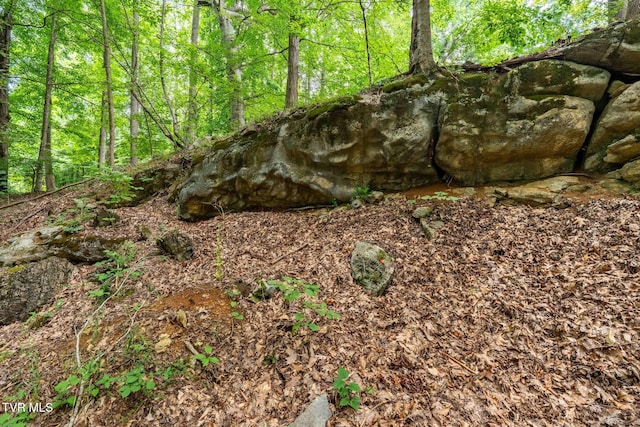 Tbd Fairway Point, Unicoi, TN 37692 - photo 26