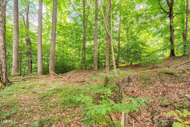 Tbd Fairway Point, Unicoi, TN 37692 - photo 27