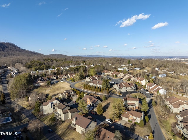 261 Willowbend Pl, Kingsport, TN 37660 - photo 42
