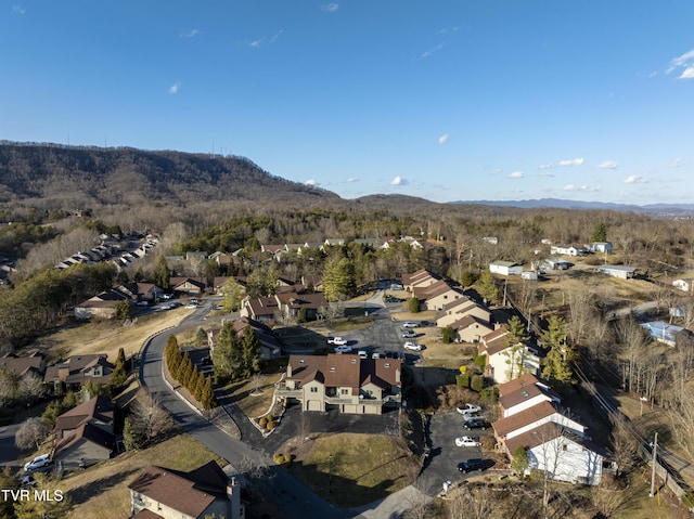 261 Willowbend Pl, Kingsport, TN 37660 - photo 43