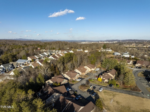 261 Willowbend Pl, Kingsport, TN 37660 - photo 44
