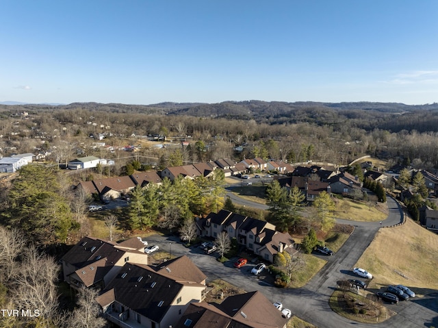 261 Willowbend Pl, Kingsport, TN 37660 - photo 45