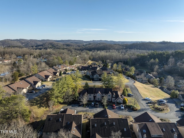 261 Willowbend Pl, Kingsport, TN 37660 - photo 46
