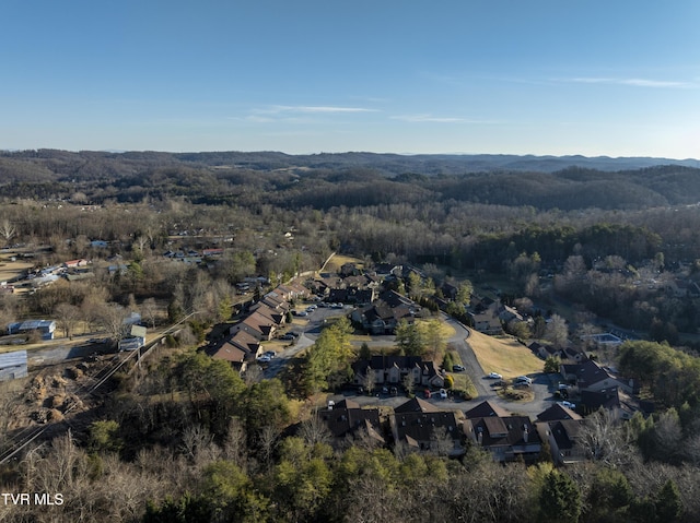 261 Willowbend Pl, Kingsport, TN 37660 - photo 47
