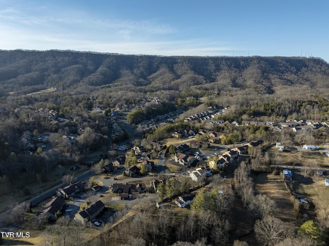 261 Willowbend Pl, Kingsport, TN 37660 - photo 49