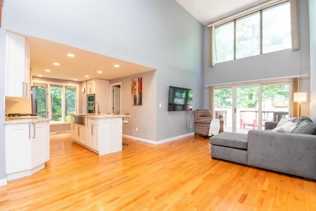 10 Grove Sq Unit 10, Randolph, MA 02368 - living area with light wood-type flooring, a high ceiling, baseboards, and recessed lighting