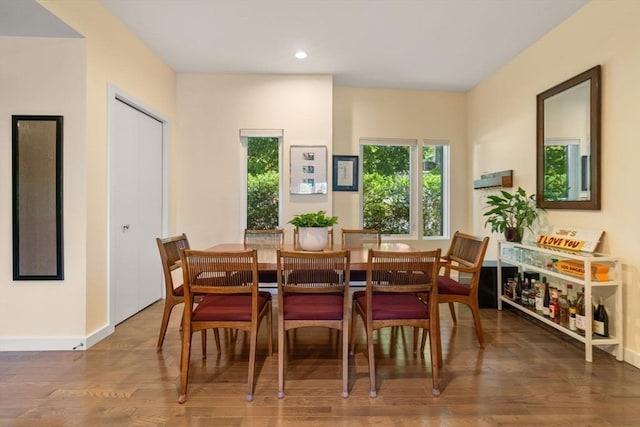 dining room featuring dark hardwood / wood-style floors