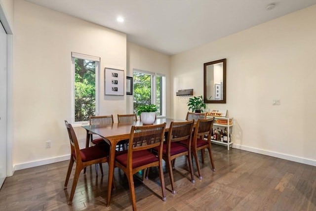 dining room featuring dark hardwood / wood-style floors