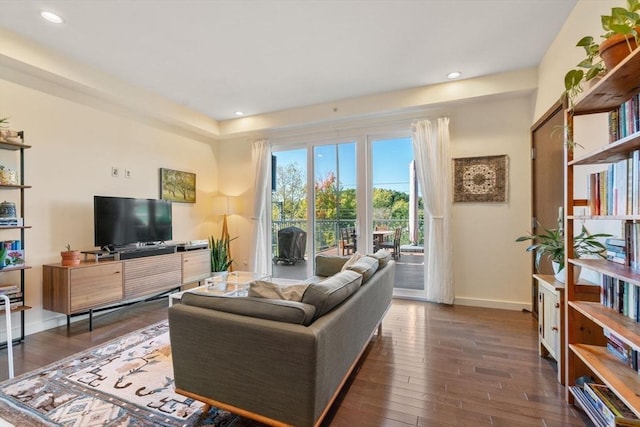 living room with dark hardwood / wood-style flooring