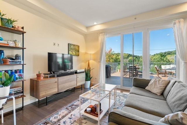 living room featuring dark hardwood / wood-style flooring