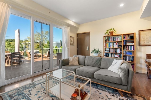 living room featuring wood-type flooring