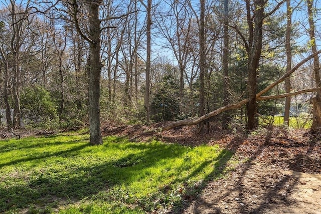 62 Monomoy Cir, Barnstable, MA 02632 - view of yard featuring a wooded view