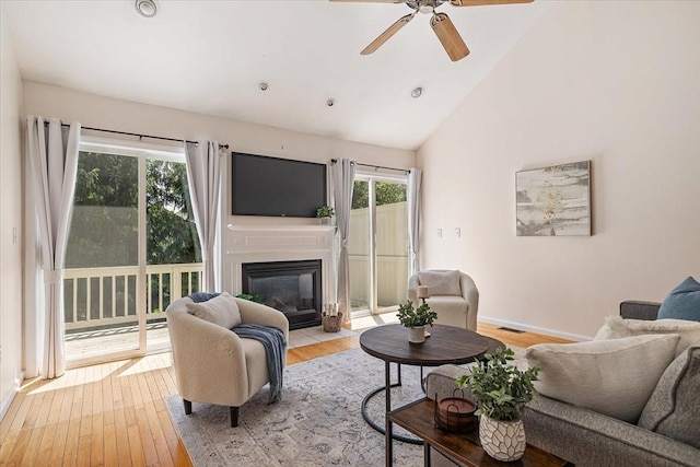 9 Edward Dr Unit 9, Grafton, MA 01536 - living room with light wood finished floors, ceiling fan, baseboards, and high vaulted ceiling