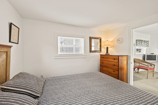 bedroom with carpet floors