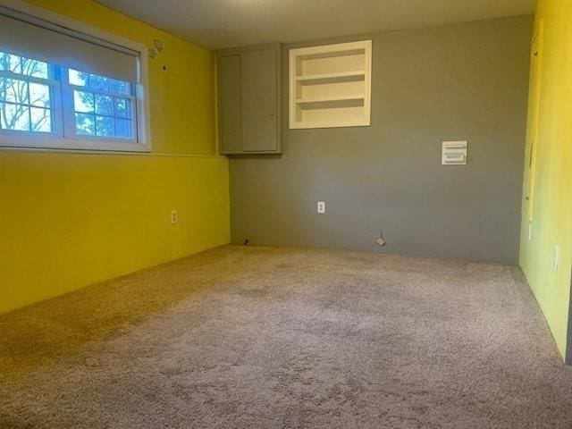 spare room with carpet