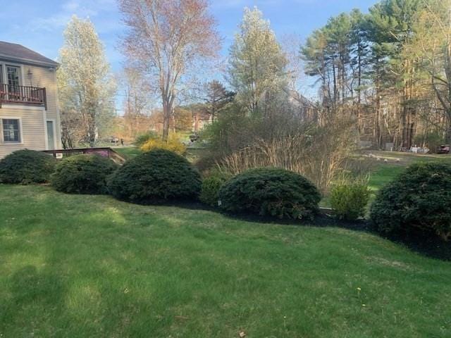 view of yard featuring a balcony