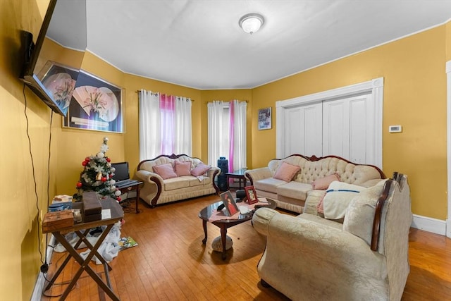 living room featuring hardwood / wood-style flooring