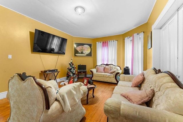 living room with light wood-type flooring