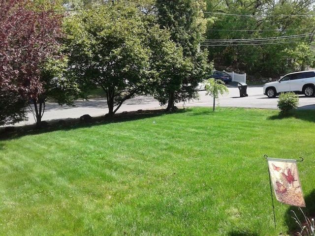 view of grassy yard
