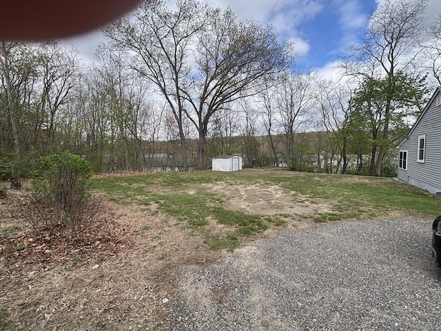 view of yard featuring a storage shed and an outdoor structure