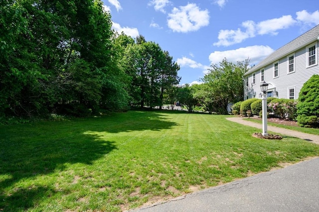 1051 Randolph Ave, Milton, MA 02186 - view of grassy yard