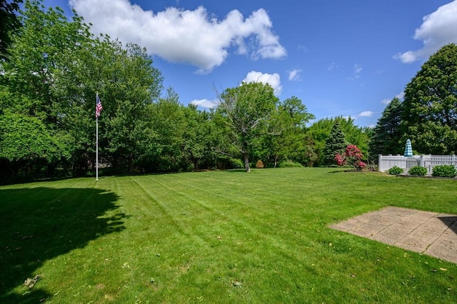 1051 Randolph Ave, Milton, MA 02186 - view of yard