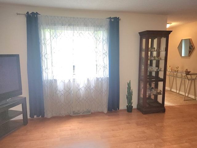 37 Mountain Gate Rd Unit 37, Ashland, MA 01721 - living area with wood finished floors