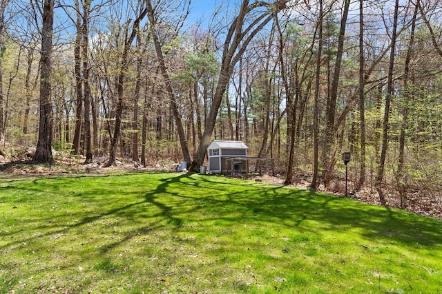 view of yard featuring an outbuilding and a storage unit