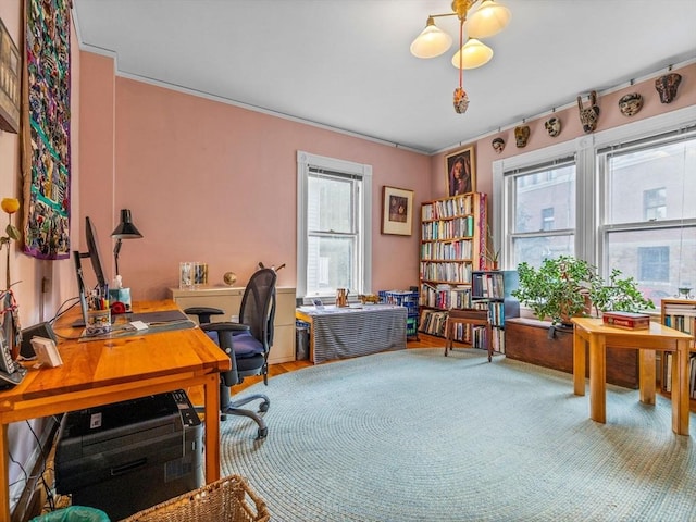 10 John A Andrew St, Boston, MA 02130 - home office with crown molding