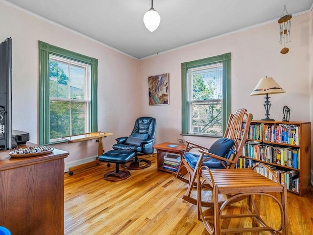 10 John A Andrew St, Boston, MA 02130 - living area with crown molding, wood finished floors, healthy amount of natural light, and baseboards