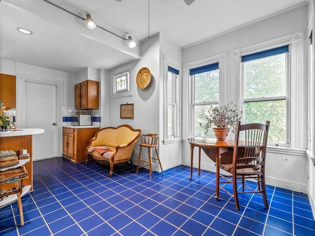 10 John A Andrew St, Boston, MA 02130 - dining space with tile patterned floors and healthy amount of natural light