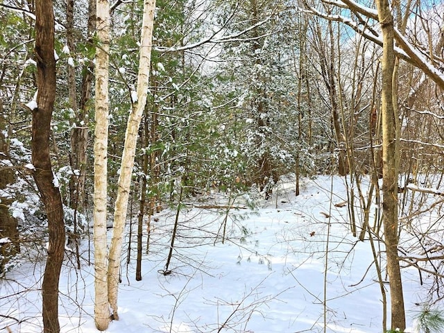 Listing photo 2 for LOT00 Petersham Rd, Athol MA 01331