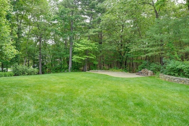 59 Davis St, Northborough, MA 01532 - view of grassy yard with a forest view