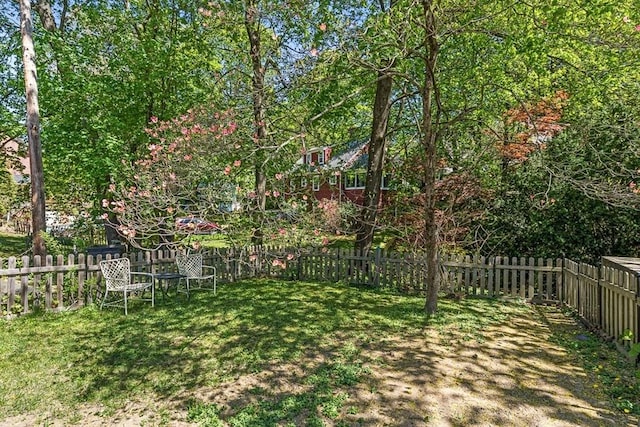 view of yard featuring a fenced backyard
