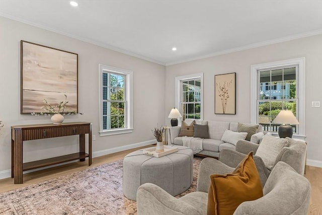 living area featuring baseboards and ornamental molding