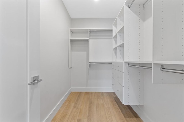 1948-1950 Washington St Unit 3E, Boston, MA 02118 - spacious closet with light wood-type flooring