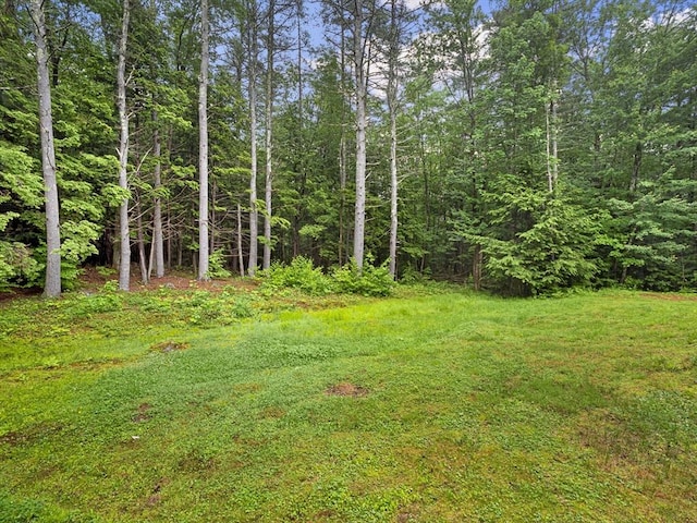 1056 Alger St, Winchendon, MA 01475 - view of yard with a wooded view
