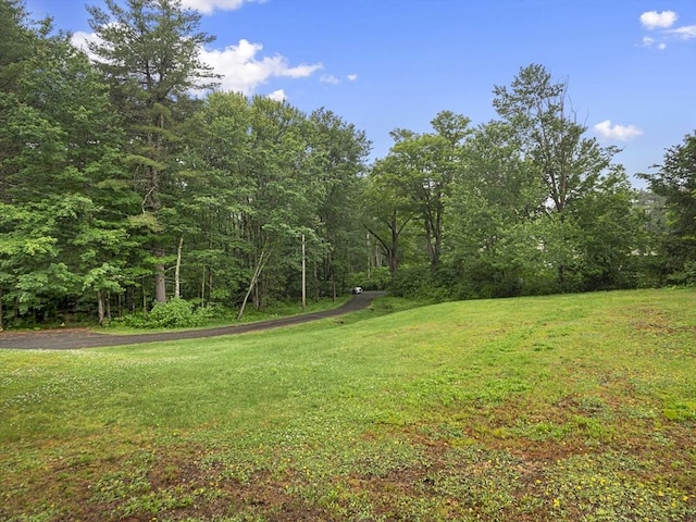 1056 Alger St, Winchendon, MA 01475 - view of grassy yard with a wooded view