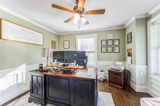 19 Crystal Cir, Tewksbury, MA 01876 - office space with plenty of natural light, dark wood-type flooring, crown molding, a ceiling fan, and a wainscoted wall