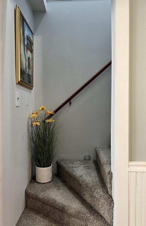 stairs with carpet flooring