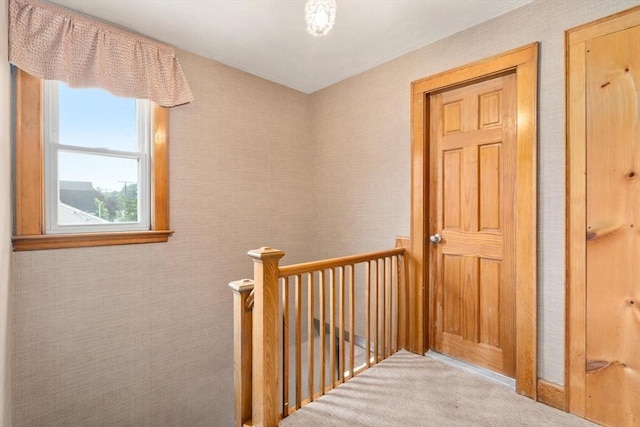 80 Joyce Kilmer Rd, Boston, MA 02132 - hall featuring carpet and an upstairs landing