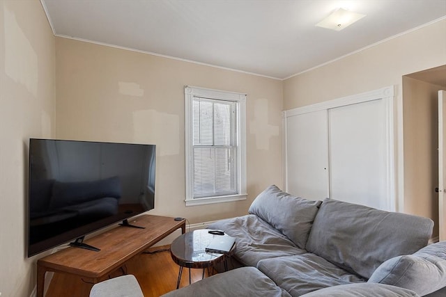 living room featuring crown molding